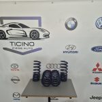 Set Arcuri H-R Chrysler 300 C /Lancia Thema cu coborare de 50mm