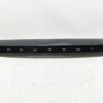 Ornament haion PEUGEOT 2008 II